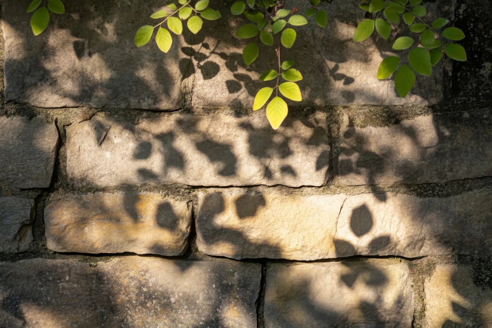 Nettoyage de Facade CleanAero 25